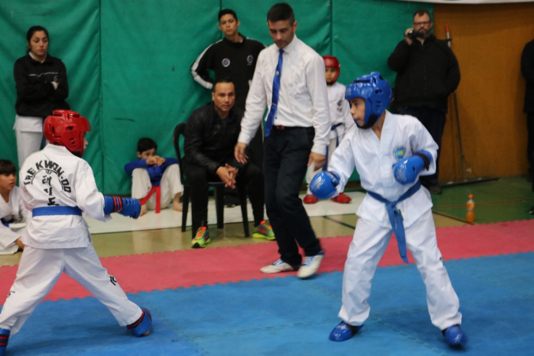 El próximo domingo 25 de agosto, en las instalaciones del Instituto Corazón de María, se llevará a cabo a tercera edición del Torneo de Taekwondo “Copa Ciudad de Chascomús”, donde se darán cita una gran cantidad pequeños, niños, jóvenes y adultos con los deseos de mostrar sus mejores técnicas.