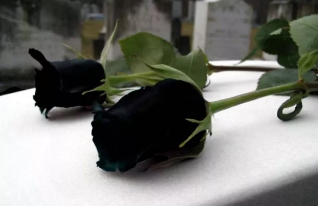 En horas de la madrugada de este miércoles 14, tras las alternativas de una larga dolencia, dejó de existir en nuestra ciudad Gilberto Ulises Cavallini.