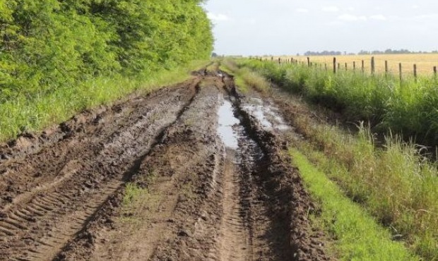 Este miércoles 15 de noviembre se hizo pública la convocatoria que realiza la Asociación Rural de Chascomús a los productores de la zona para participar en la reunión con el secretario de Obras y Servicios de la Municipalidad de Chascomús, Alejandro Arias y el subsecretario de dicha cartera, Sebastián Placenave.