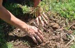 Día de la Educación Ambiental