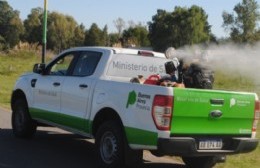 Se realizarán tareas de saneamiento y fumigación