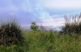 Bomberos locales colaboraron con un incendio forestal en Ezeiza