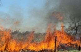 Sequía: instan a extremar las medidas para evitar incendios forestales