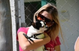 Actividades por el Día del Animal
