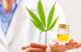 Cannabis medicinal: ¿Cómo se implementará el convenio en farmacias locales?