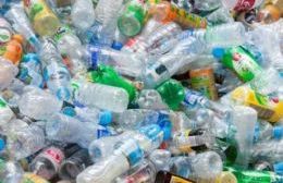 Taller Protegido: Plásticos y cartón para reciclar