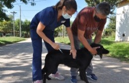 El programa de castración gratuita tendrá sede en el Barrio Algarrobo