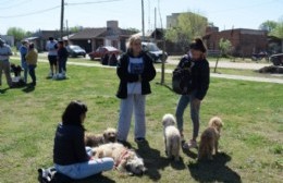 Más de 60 mascotas serán intervenidas en el quirófano móvil instalado en Plaza La Barraca