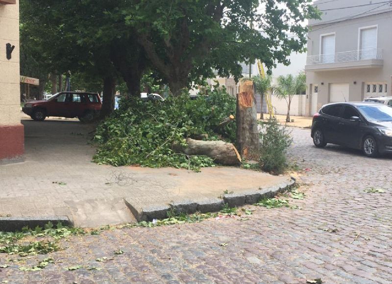 Ocurrió en Quintana y Remedios de Escalada.