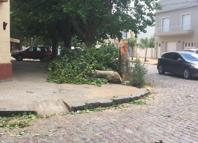 Ocurrió en Quintana y Remedios de Escalada.