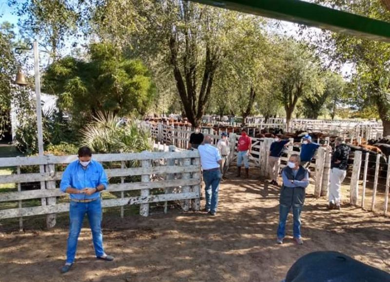 Participaron cincuenta personas en la feria ganadera de Salliqueló.