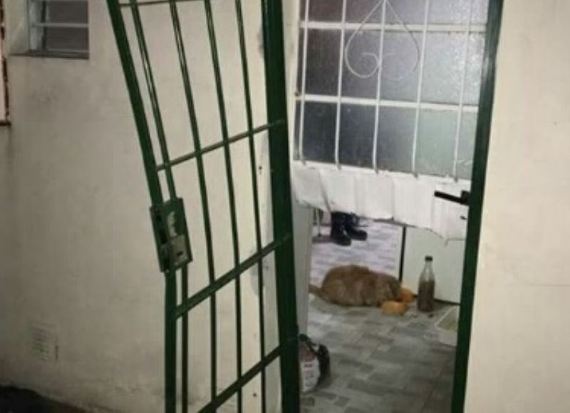Por aquí entraron los amigos de lo ajeno.
