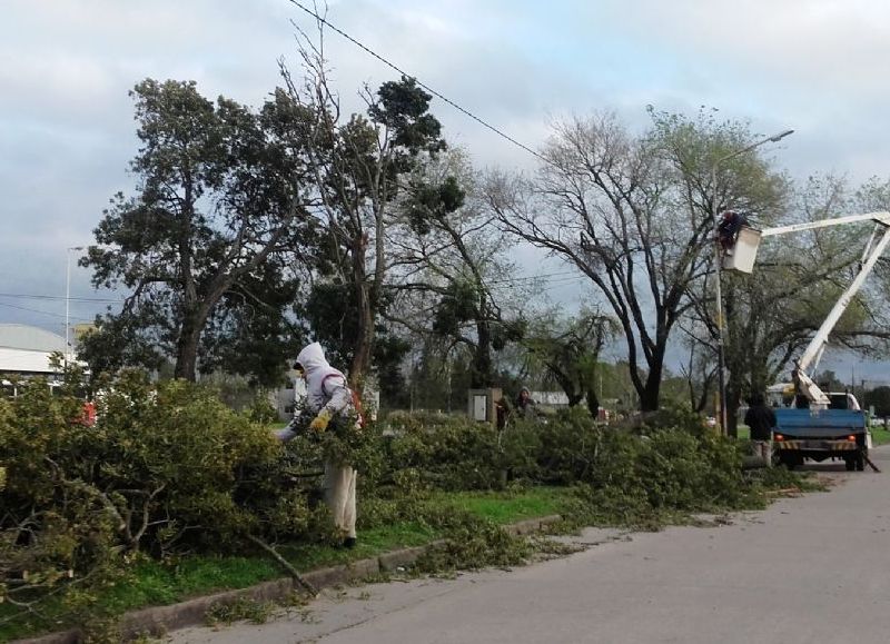 Cuadrillas municipales en plena labor.