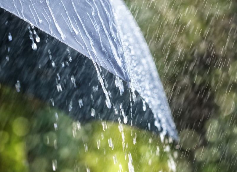 Las precipitaciones no dan tregua.