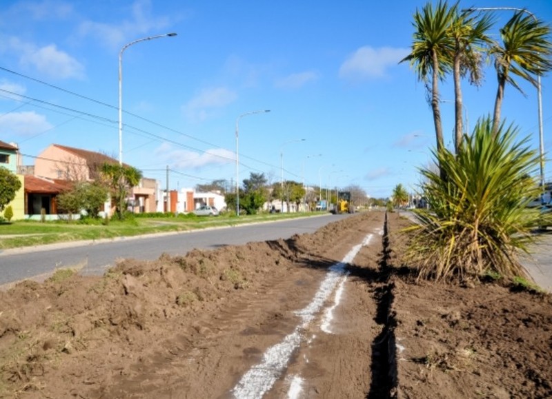 Paso previo para la colocación de plantas.