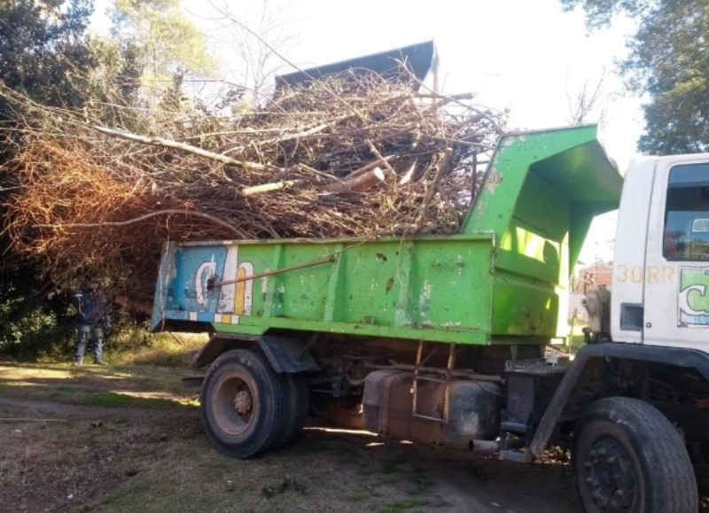 Todo fue trasladado al predio de disposición final.