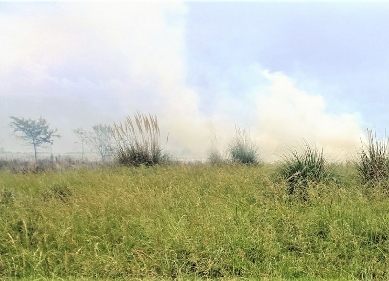 Intervenciones de Bomberos Voluntarios.