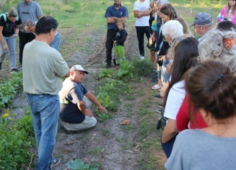 Alimentación sana, segura y soberana.