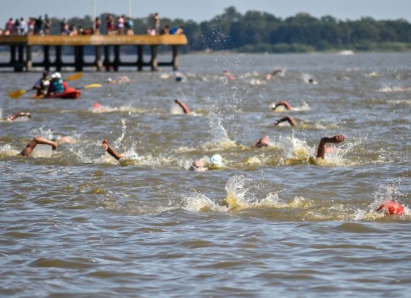 Natación de primer nivel.