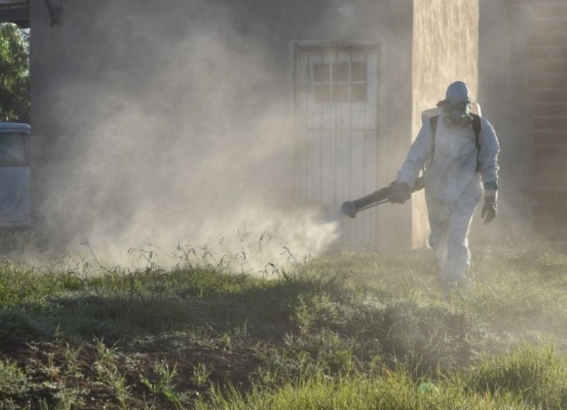 Labores de fumigación.