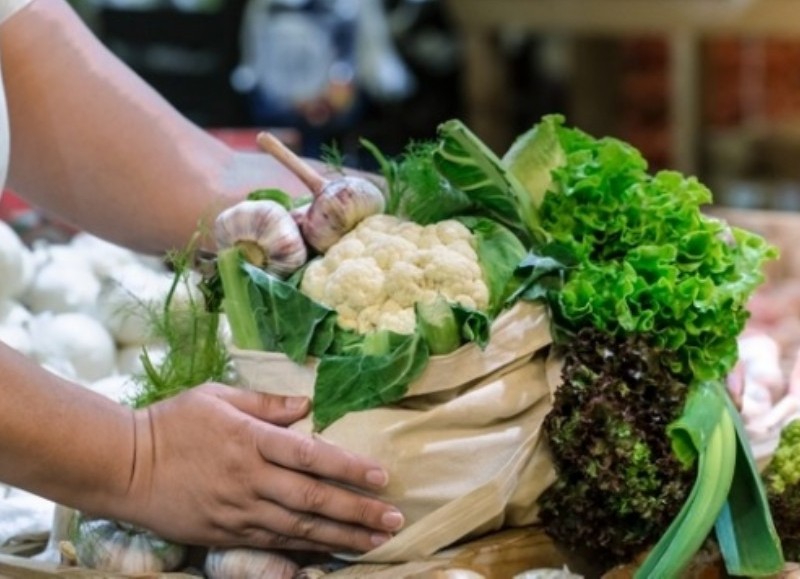 “Tiene como objetivo lograr una alimentación nutritiva y variada para todos los niños y niñas”, expuso.