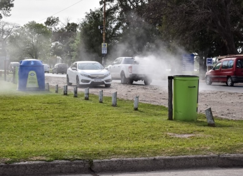 Prevención del dengue.