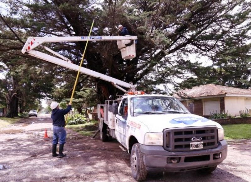 Labores de mantenimiento.