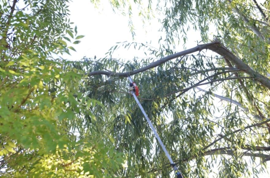 La medida busca evitar riesgos de caídas.