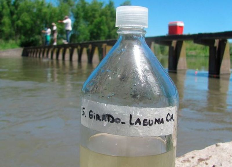 Las muestras de agua con alta concentración de etinilestradiol.