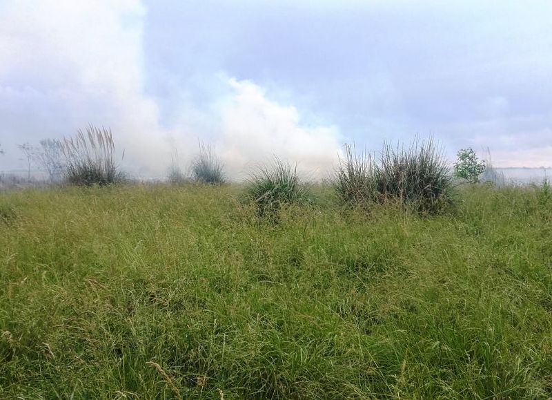 Hubo varios incendios de pastizales (foto de archivo).