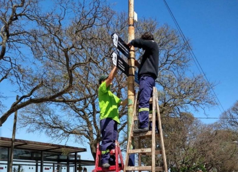 Cuadrilla en plena labor.