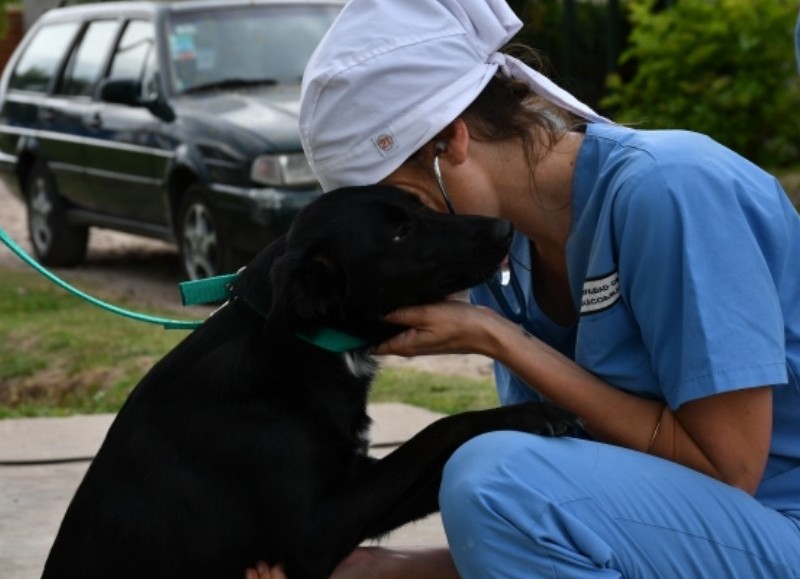 Se busca generar una tenencia responsable de las mascotas.