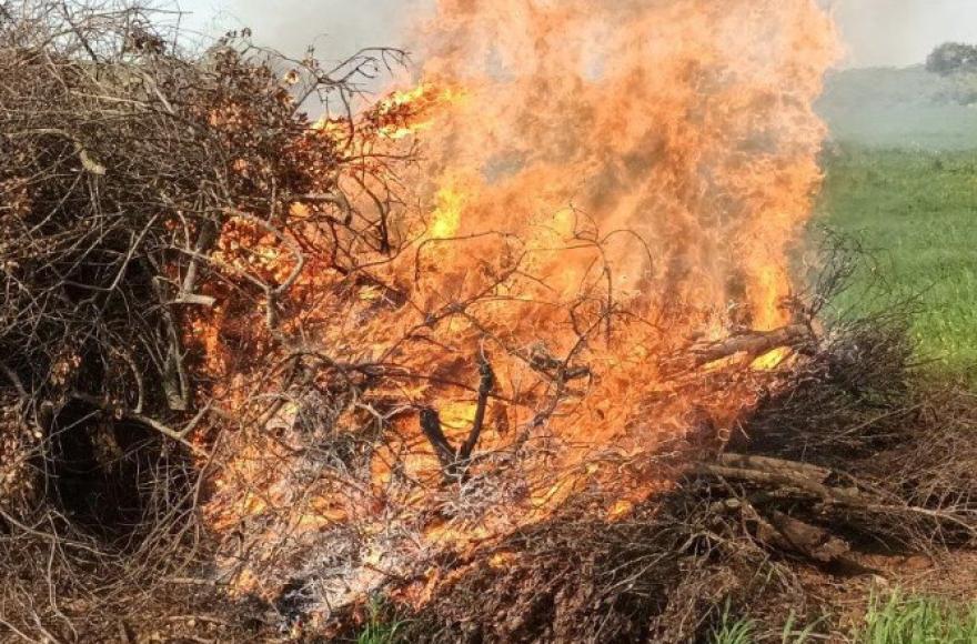 Verano sin incendios: cómo evitar riesgos para cuidar el ambiente