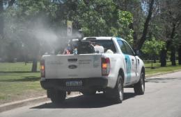 Medidas preventivas para evitar la proliferación de mosquitos y otros insectos en espacios públicos