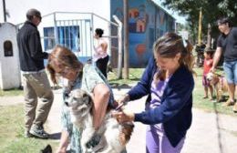 Culmina en el Barrio 30 de Mayo la campaña de vacunación antirrábica 2019