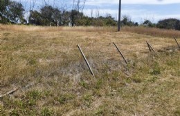 Disputa por un terreno: le cortó los alambres aduciendo que era la propietaria