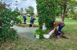 Avanza el plan de recuperación de plazas y paseos de toda la ciudad