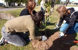 Jornada de plantación de árboles nativos en el cierre del mes del compostaje