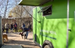 El programa municipal de castración gratuita continuará en el Barrio La Noria