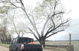 Identificaron el cuerpo hallado en la laguna