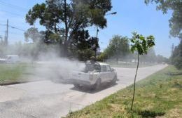 Se realizaron tareas de fumigación en la ciudad