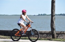 La bicicleta es la mejor opción para alcanzar la movilidad sustentable, económica y segura