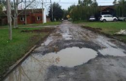 El lamentable estado de las calles del Barrio Los Sauces