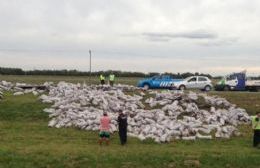 Camión con papas volcó en la ruta