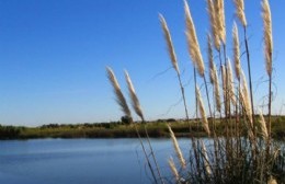 Día Mundial de la Ecología