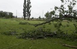 El temporal provocó destrozos en la ciudad