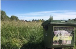 Queja de vecinos por pastizales en Escribano y Costanera