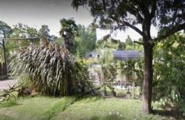 Robaron 30 mil pesos de un vivero