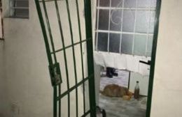 Vecina pide recuperar lo que le robaron