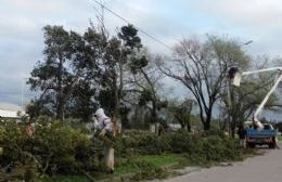 Comenzaron los trabajos en las calles tras el temporal